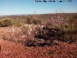 Estanque Antiguo de los Poyales. Montn de piedras en que ha quedado el Cortijo de los Poyales