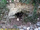 Fuente de la Piedra. Cueva