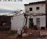 Cortijo de Lorenzo Merino. 