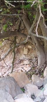 Eremitorio de la Magdalena. Cueva celda