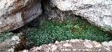 Eremitorio de la Magdalena. Cueva