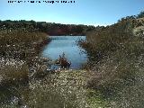 Laguna de Burguillos. 