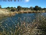 Laguna de Burguillos. 