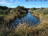 Laguna de Burguillos. 