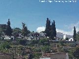 Cementerio de Fuensanta de Martos. 