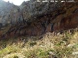 Pinturas rupestres de las Cuevas del Curro Abrigo I. Abrigo