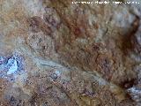Pinturas rupestres de las Cuevas del Curro Abrigo I. Restos inferiores del grupo I