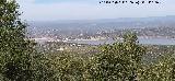 La Alhambra. Desde la Terraza de Los Prietos - Rus