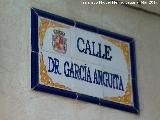 Calle Doctor Garca Anguita. Placa