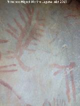 Pinturas rupestres del Abrigo de los rganos I. Ciervo