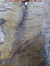 Pinturas rupestres de las Vacas del Retamoso XIII Grupo IV. Figura reticulada