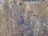 Pinturas rupestres de las Vacas del Retamoso XIII Grupo II. Pectiniforme superior