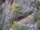 Pantano de la Vieja. Cueva