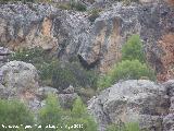 Pantano de la Vieja. Cueva