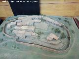 Oppidum Puig Castellar. Maqueta. Exposici�n Los Iberos - Ja�n