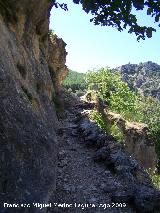 Sendero de Huelga Utrera a Poyotello. 