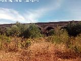 Puente del Arroyo Zapatera. 