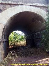 Puente del Arroyo Zapatera. Uno de sus muchos ojos