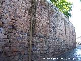 Iglesia de San Esteban. Muro de contencin