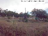 Cortijo de Santa Olalla. Muro almenado