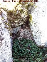 Poblado islmico de la Coronilla. Entrada cegada a una cueva