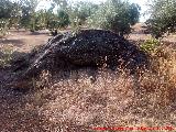 Nido de Ametralladoras del Cortijo La Granja. 