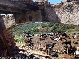 Molino de Montefuerte. Arco rebajado