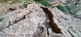 Cueva de las Grajas. Gours