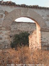 Cortijo Alto. Portada