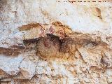 Pinturas y petroglifos rupestres de la Merced. Ojo?