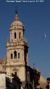 Catedral de Jan. Torre Sin Campanas. 