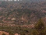 Cerro Gordo. 