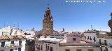 Carmona