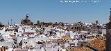Carmona. Desde la Torre del Oro