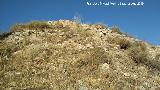 Castillo del Cerro de Atalaya. 