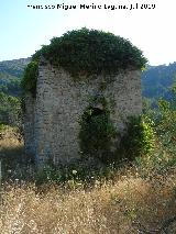 Ermita del Pla de Petracos. 