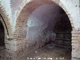 Baslica de San Ildefonso. Criptas. Cripta