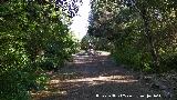 Parque Francisco Castilla. Estatua del Ciervo