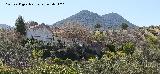 Ca�ad�n de G�mez. Con el Cortijo de la Huerta en primer t�rmino