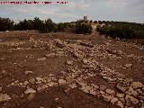Torreparedones. Casas. 