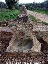 Fuente del Pozo de la Vega. 