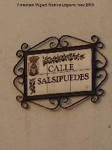 Calle Salsipuedes. Placa