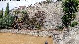 Muralla de Torredonjimeno. 