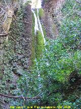 Caldera del To Lobo. Cascada Alta