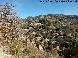 Cortijo Bravos Bajos. 