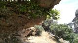 Pinturas rupestres de la Cueva de los Mosquitos. Abrigo