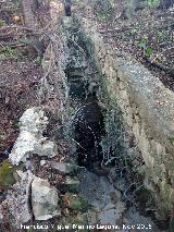 Molino del Rinc�n. Canal