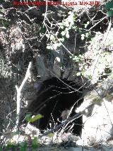 Molino del Rinc�n. Boca del canal