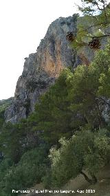 Cerro de Vitar. Cueva del Clarillo