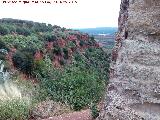 Paredn de la Atalaya. Barranco de la Atalaya desde el paredn